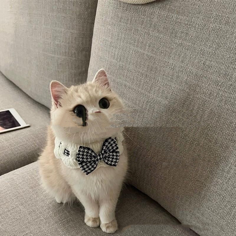 Winter Knitted Pet Collar for Dogs & Cats