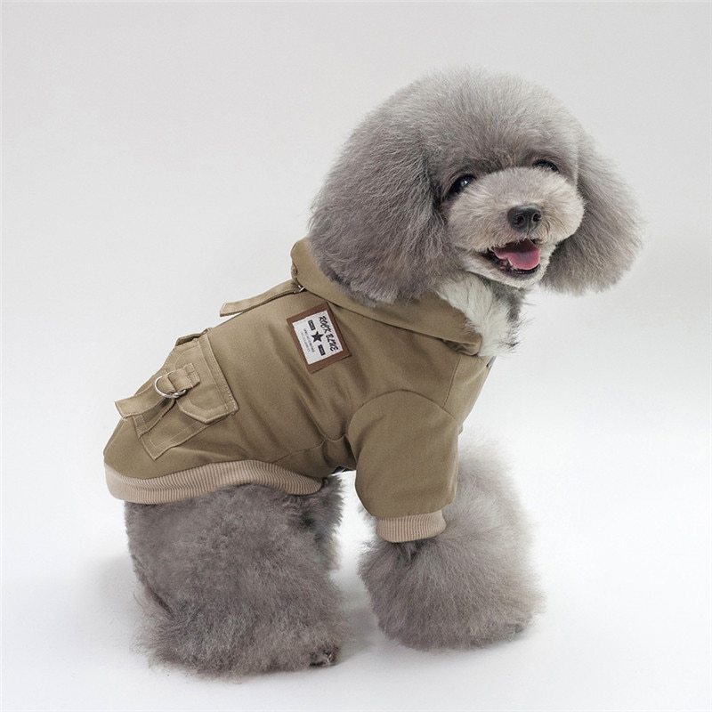 캡 강아지 코트