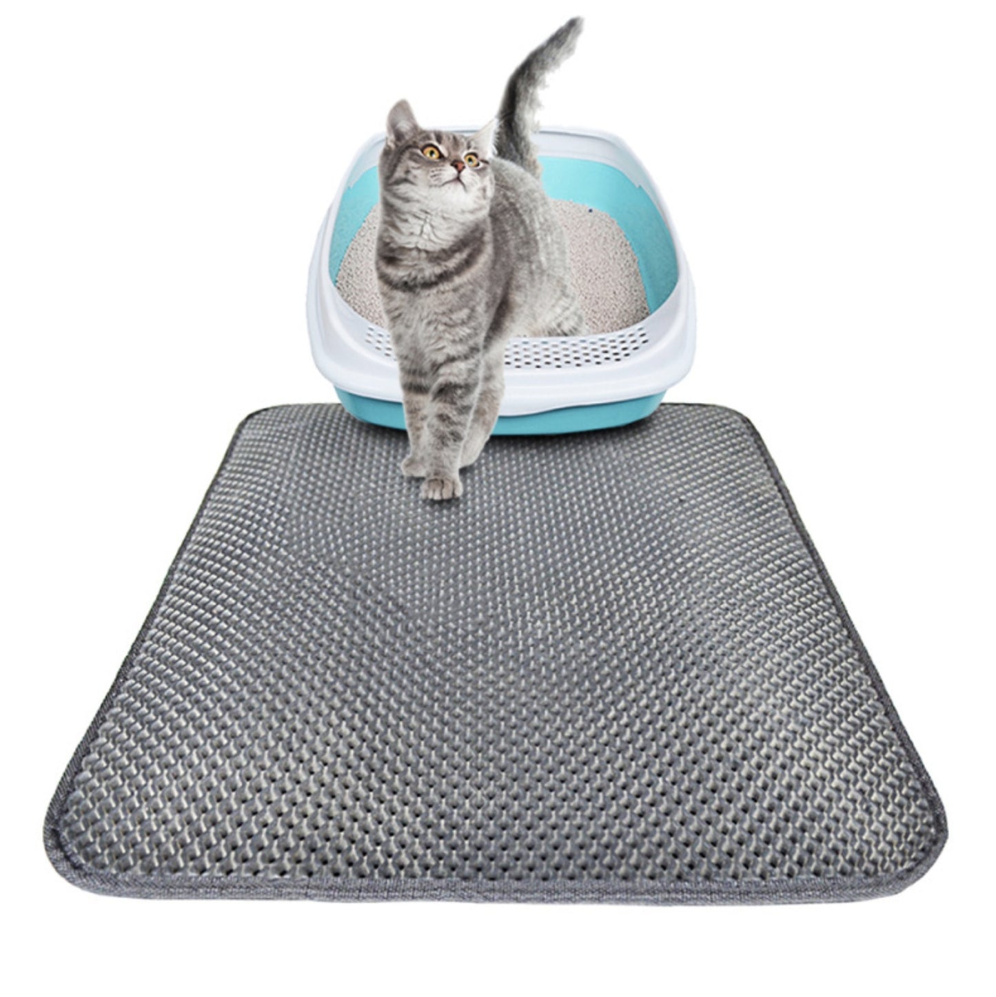Double-Layer Cat Litter Mat