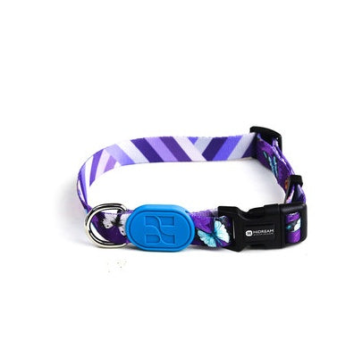 Colorful series of dog collar