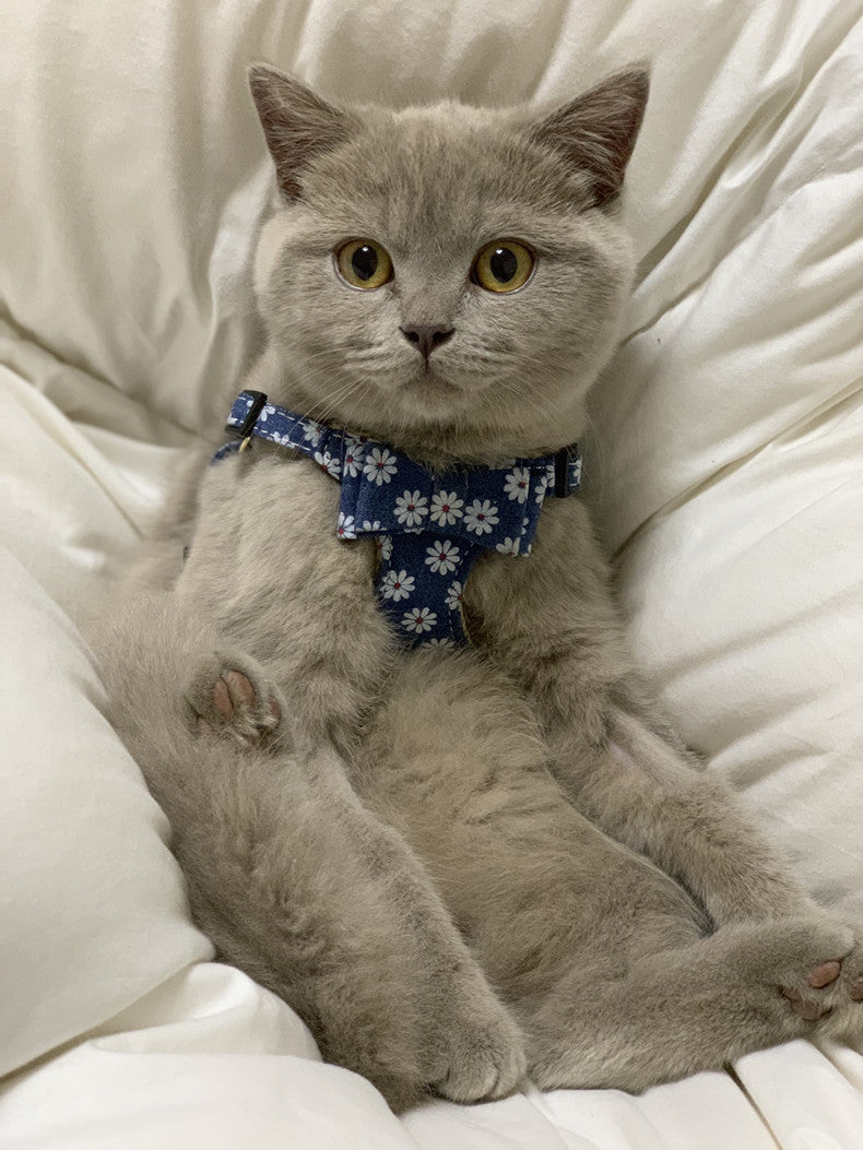Japanese Style Cat Traction Rope To Prevent Break Free Chest Strap