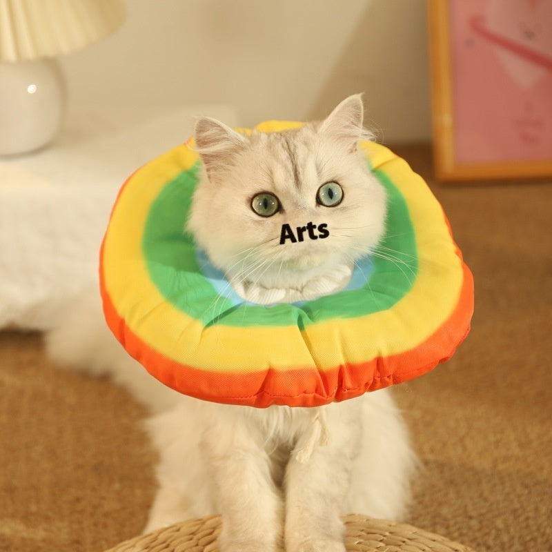 Ondaum Ring Kitten Anti-Licking Bite Shame Collar – Waterproof, Comfortable, and Cute