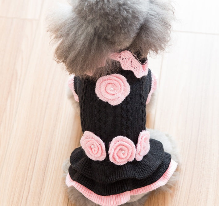 Dog clothes