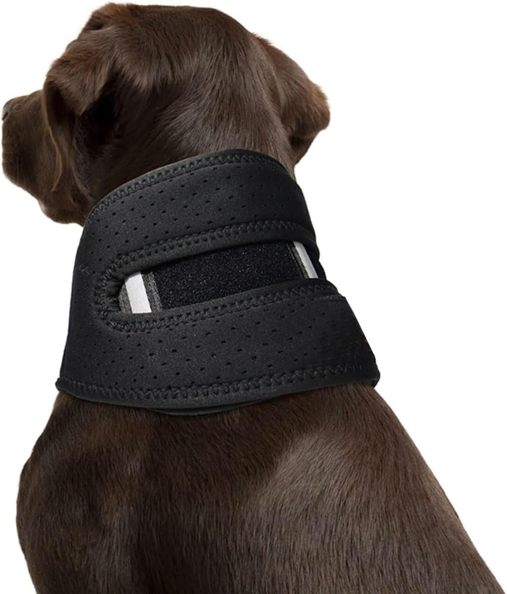 Ondaum Pet Dog Neck Brace – Supportive Cervical Collar for Injury Recovery & Stability