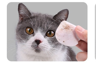 Wet wipes for cats to remove tear marks