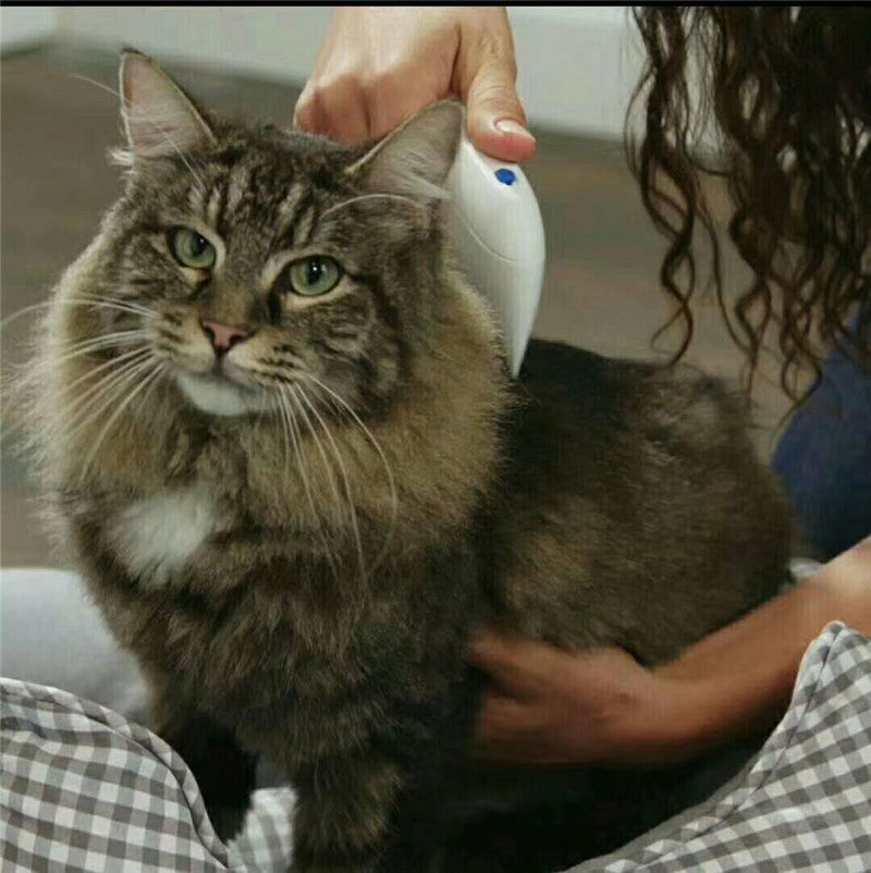 Cat Comb For Electric Lice Remover