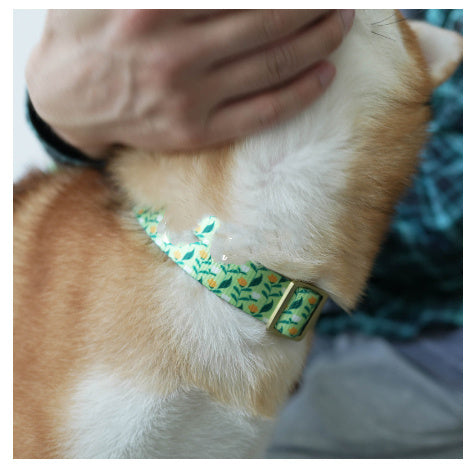 Nylon Ribbon Flower Pet Collar for All Seasons