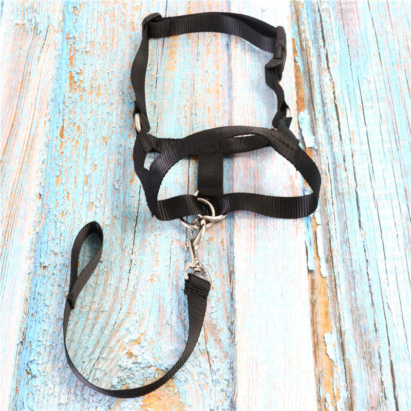 Adjustable Anti-Bite Mask Pet Traction Suit Mouth Cover