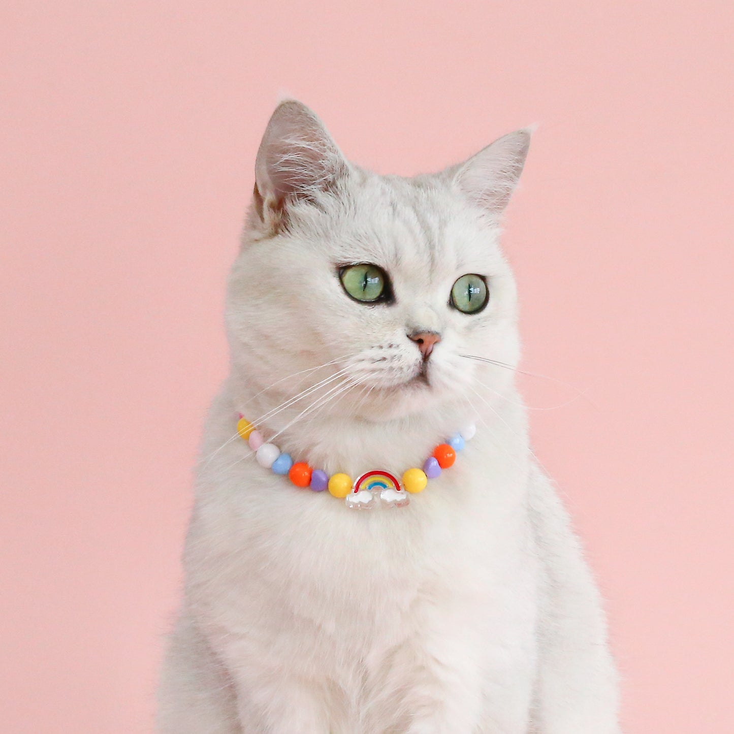 INS South Korea Colorful Pearl Pet Necklace Small Flower Rainbow Peach