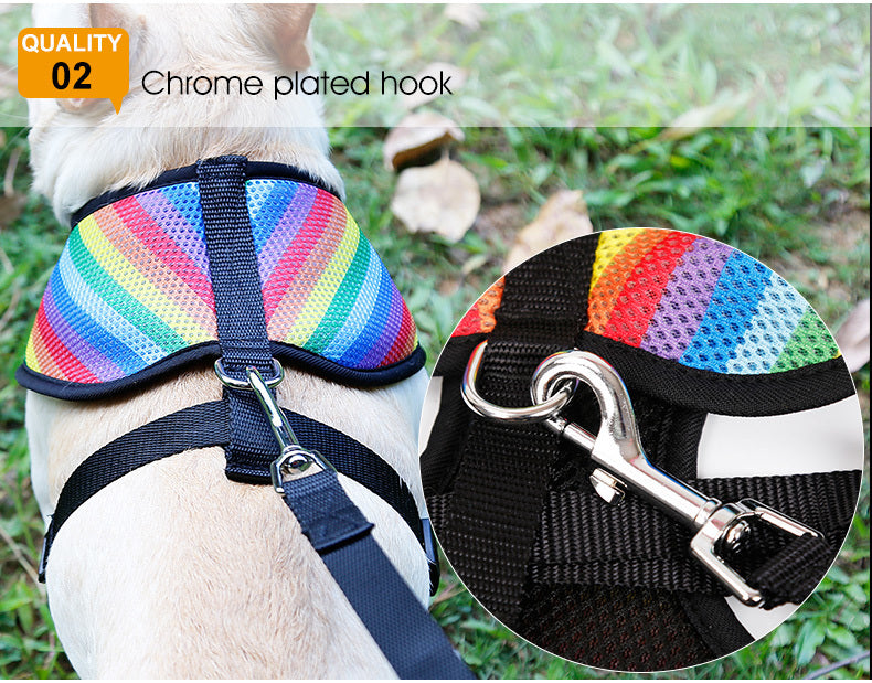 Rainbow chest strap