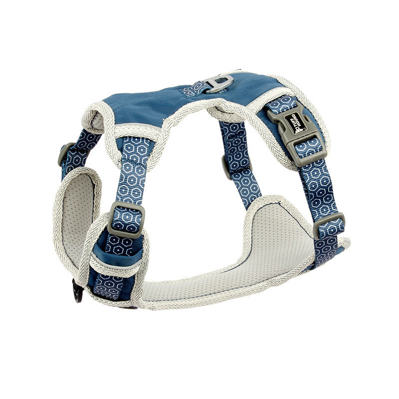 The Dog's Chest Strap Goes Out And Walks Leash