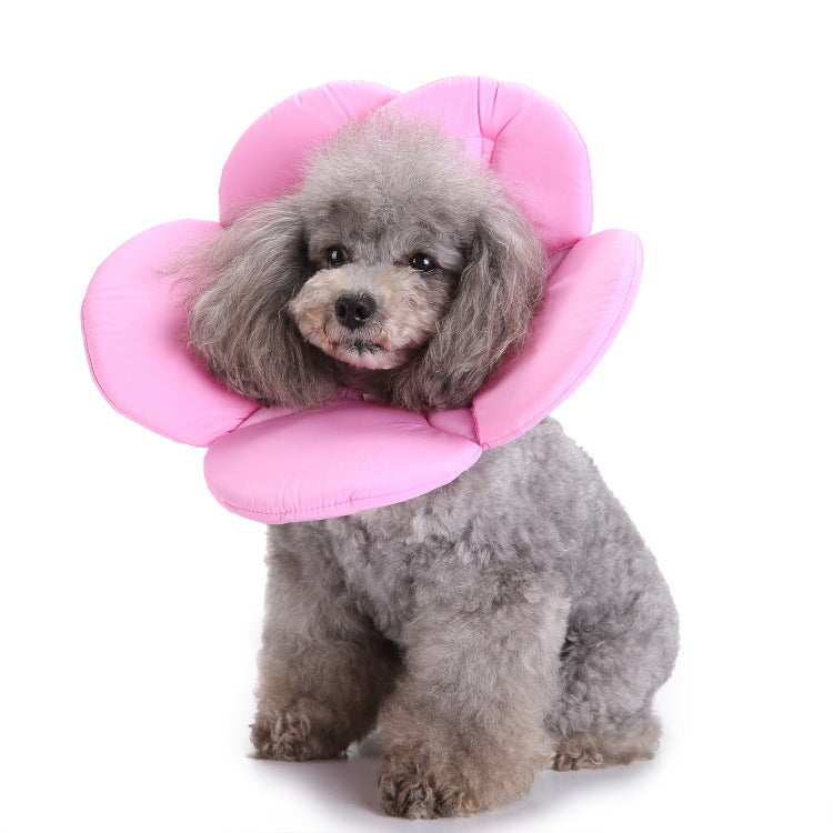Stylish Dog Collar with Floral Patterns