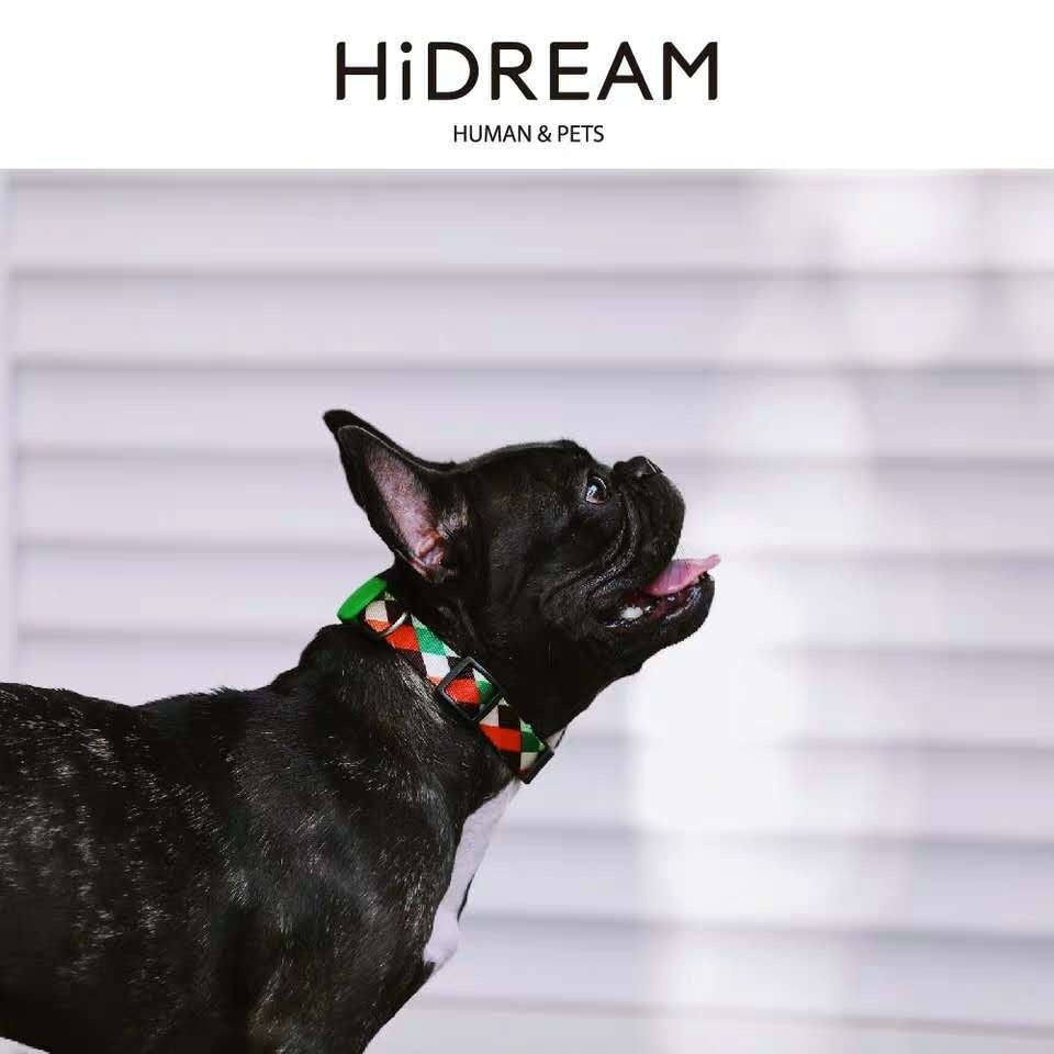 Explosion-Proof Nylon Pet Collar for Safety