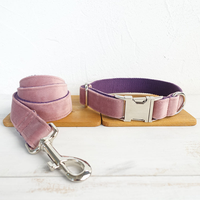 Pink dog collar