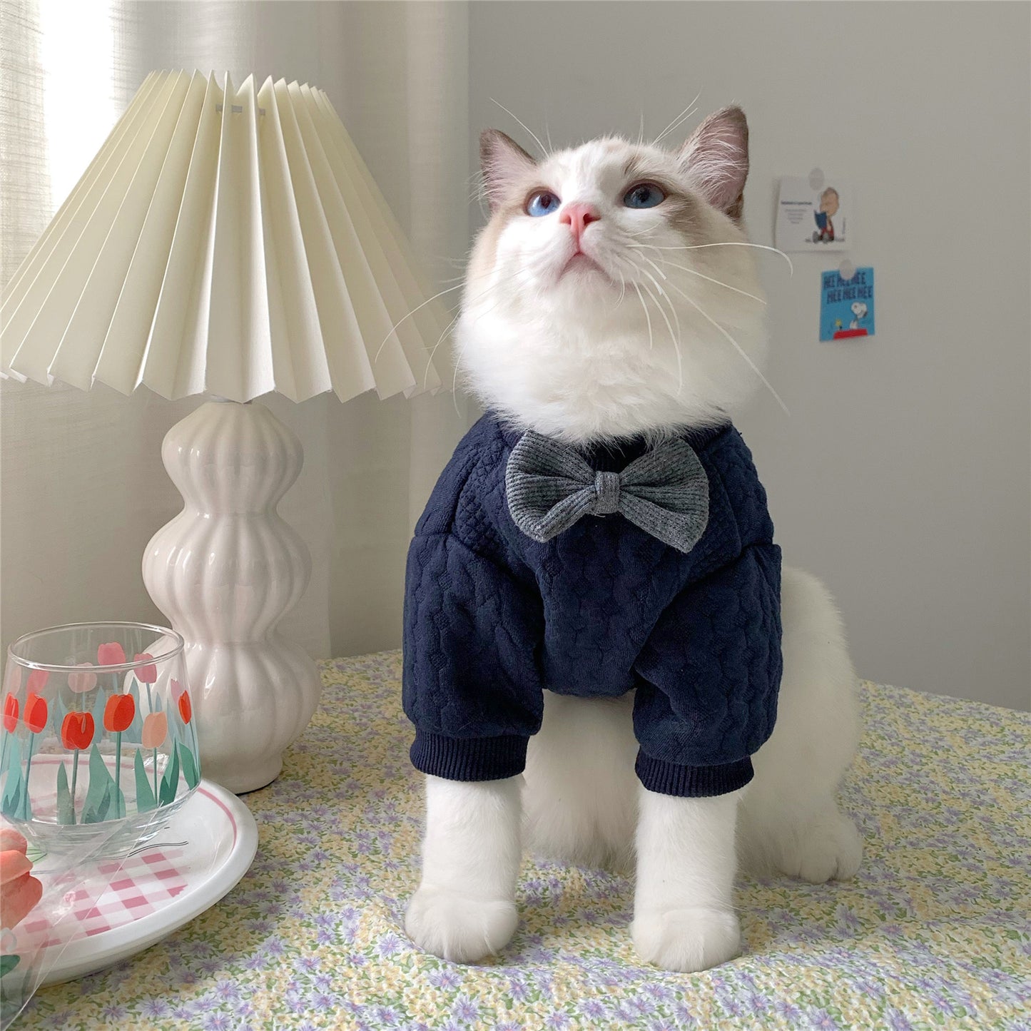 Cozy Casual Pet Outfit – Dark Blue