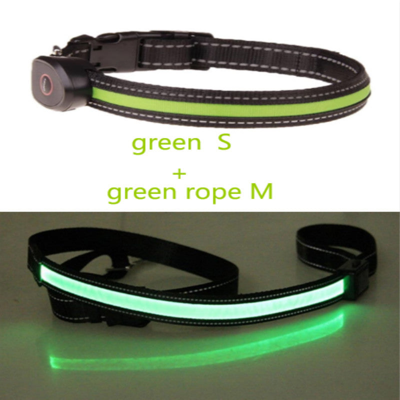 Dog luminous collar