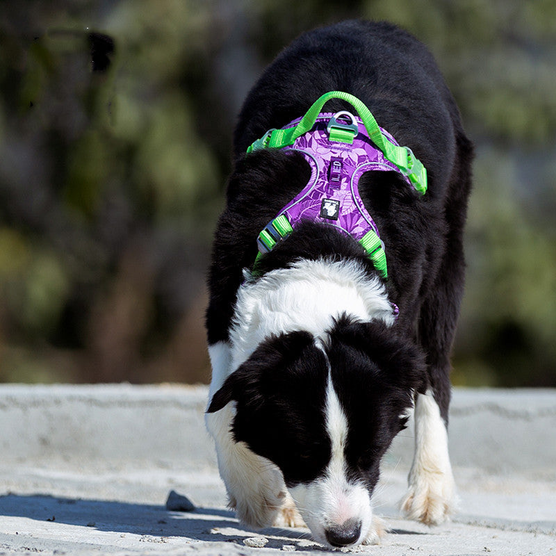 Dog traction chest strap