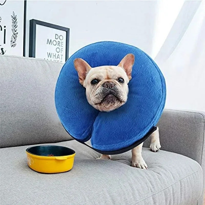 Inflatable Recovery Collar – Soft Protective Cone for Dogs and Cats (All Sizes)