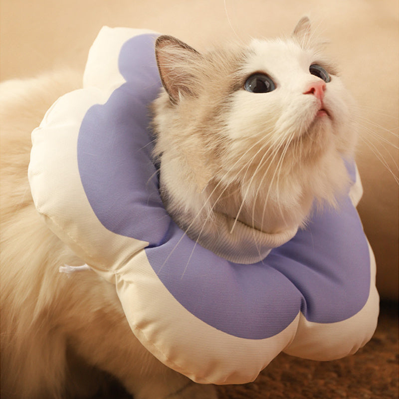 Adjustable Cat Flower Neck Collar for Recovery