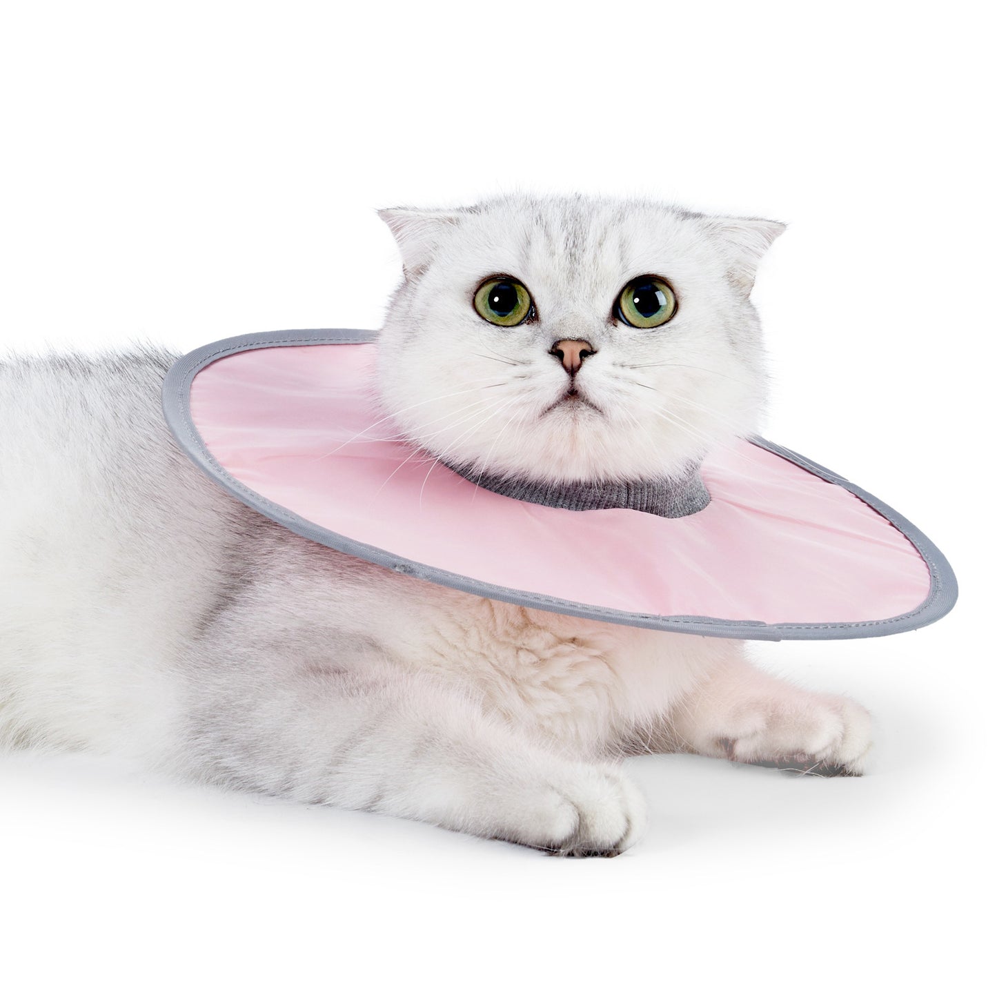 Waterproof Cat Recovery Cone Collar for Pets