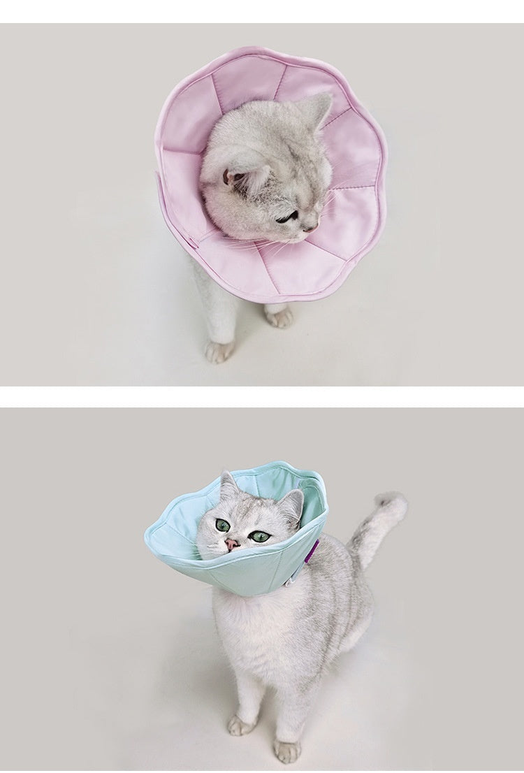 Pet Recovery Collar for Postoperative Care