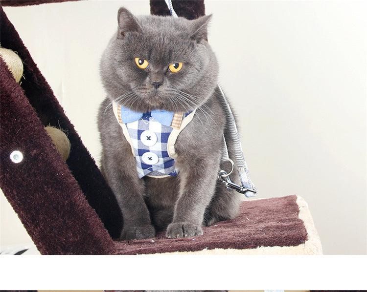 Anti-strike Tie Cat Rope Vest Type Kitten Chain