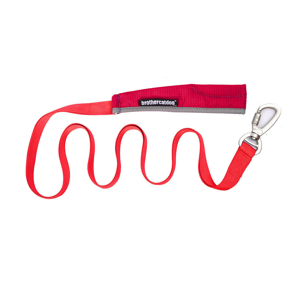 Explosion Proof Big Dog Chest Strap Cat Leash Storage Bag