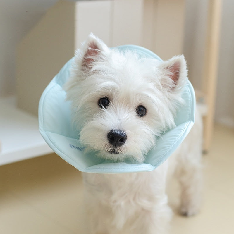 Waterproof Dog Collar for Post-Surgery Care