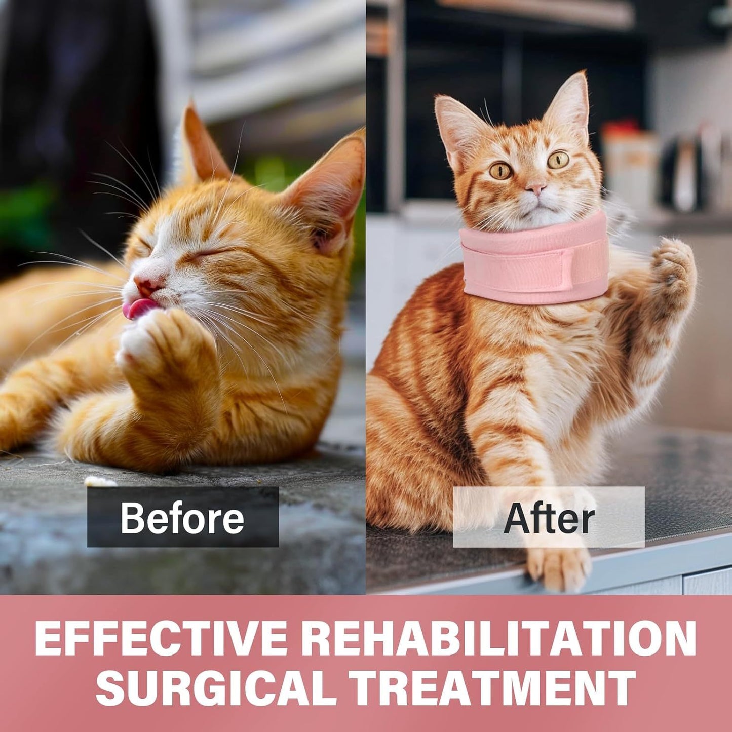 Ondaum Pet Soft Recovery Cat Cone Collar – Adjustable Neck Brace for Cats & Dogs After Surgery