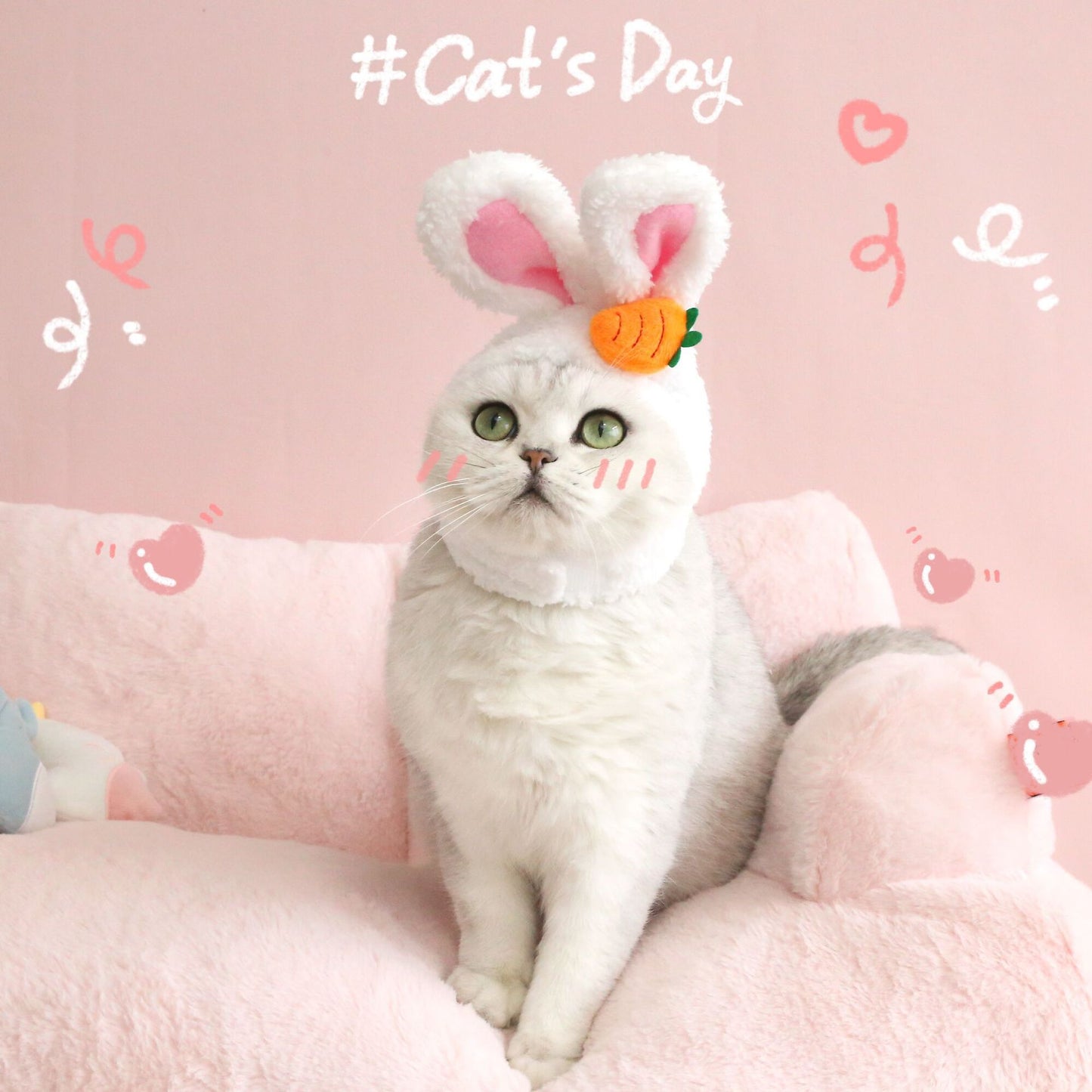 Cute Rabbit Hat for Pets – Soft & Stylish