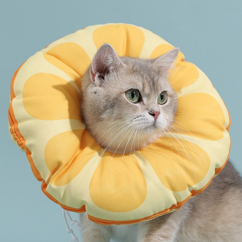 Ondaum Ring Kitten Anti-Licking Bite Shame Collar – Waterproof, Comfortable, and Cute