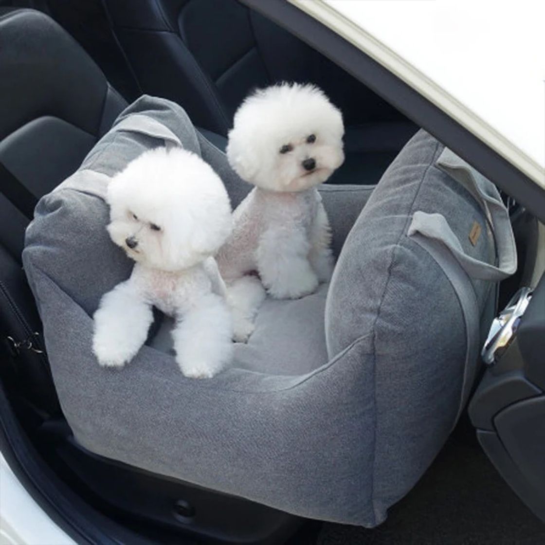 Pet Carriers & Travel Supplies