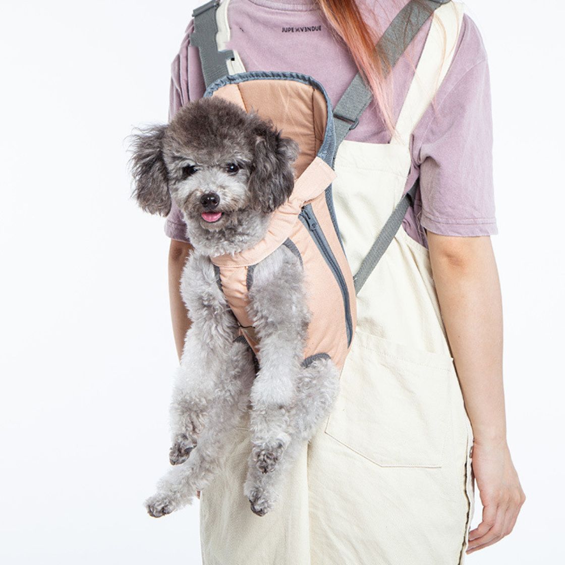 Pet Backpacks