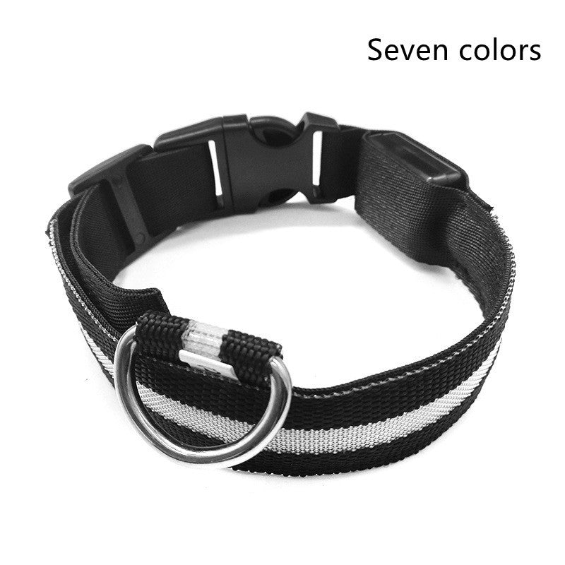 Adjustable LED Dog Collar - Nylon, Glow-in-Dark, USB/Battery Options
