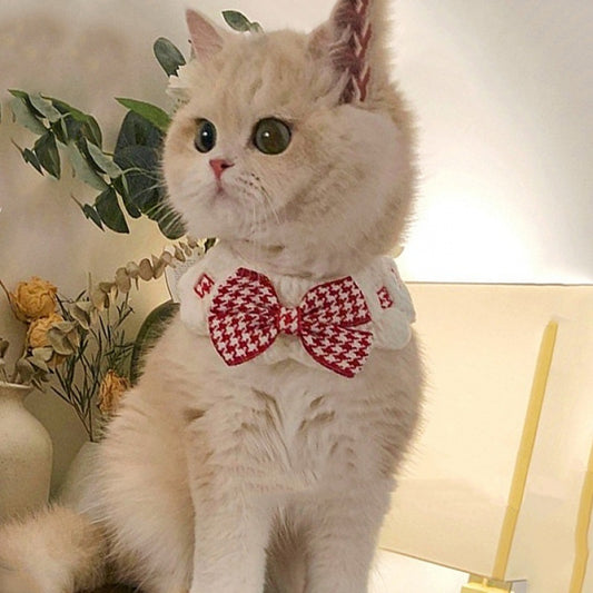 Winter Knitted Pet Collar for Dogs & Cats