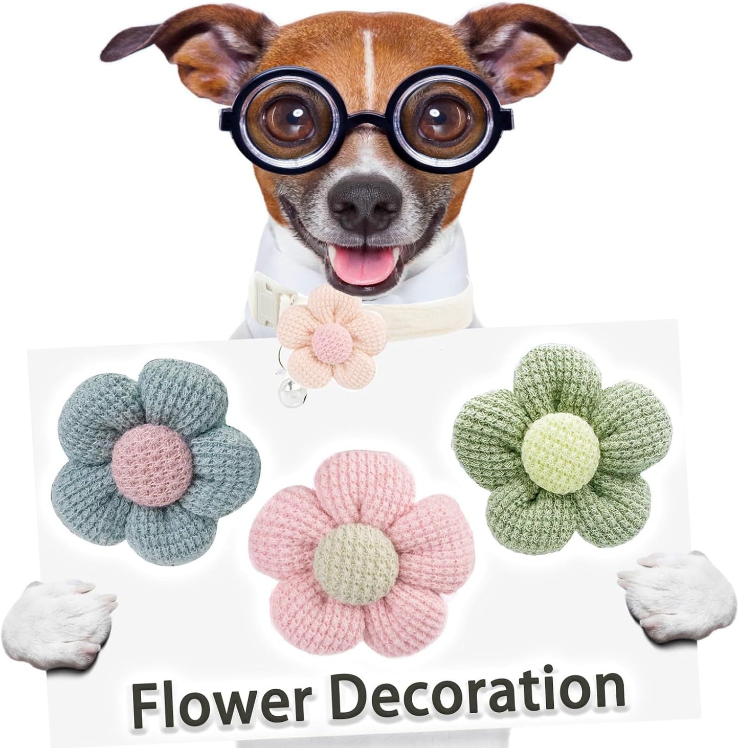 Floral Dog Collar with Bell for Small Dogs