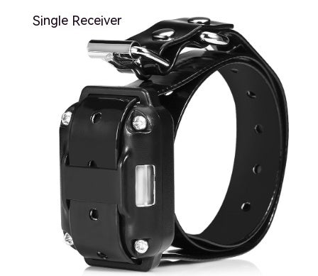 Remote Control Dog Training Collar – Bark Control Device