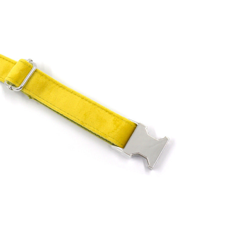 Pet Dog Yellow And Green Velvet Collar