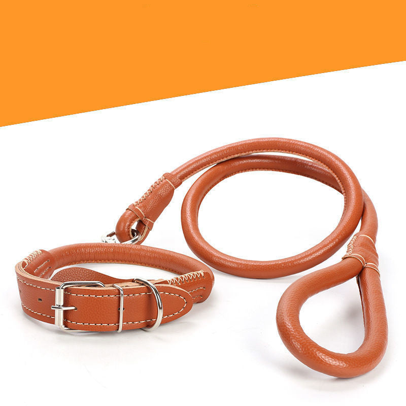 Medium Large Golden Retriever Husky Leather Collar Dog Rope