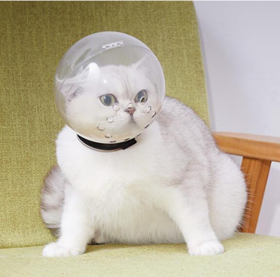 Pet Circle Cat Space Hood Dog