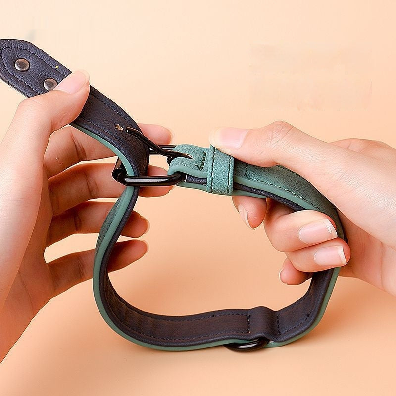 Ondaum Anti-Loss Adjustable Dog Collar Review