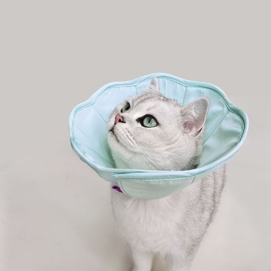 Pet Recovery Collar for Postoperative Care