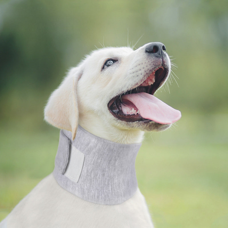 Ondaum Pet Soft Recovery Cat Cone Collar – Adjustable Neck Brace for Cats & Dogs After Surgery