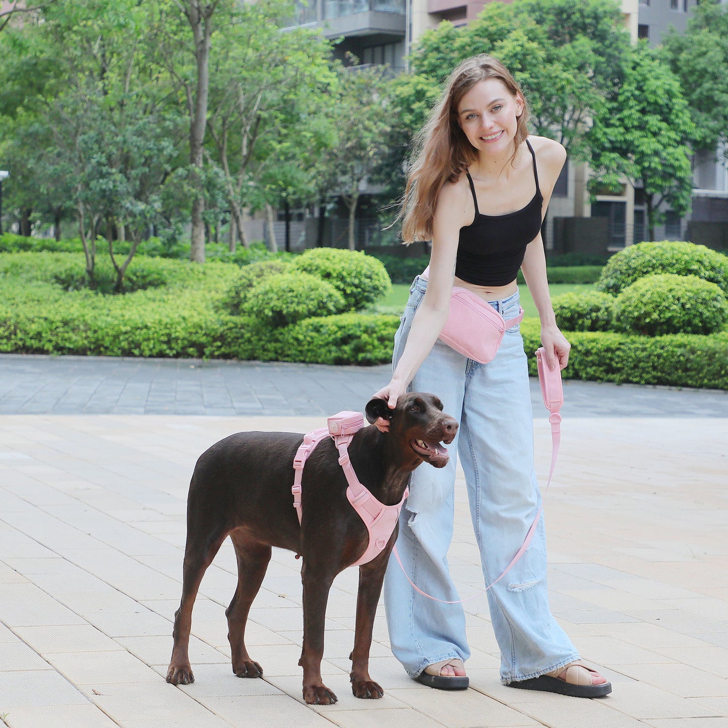 Pink Corduroy Pet Walking Set Bundle