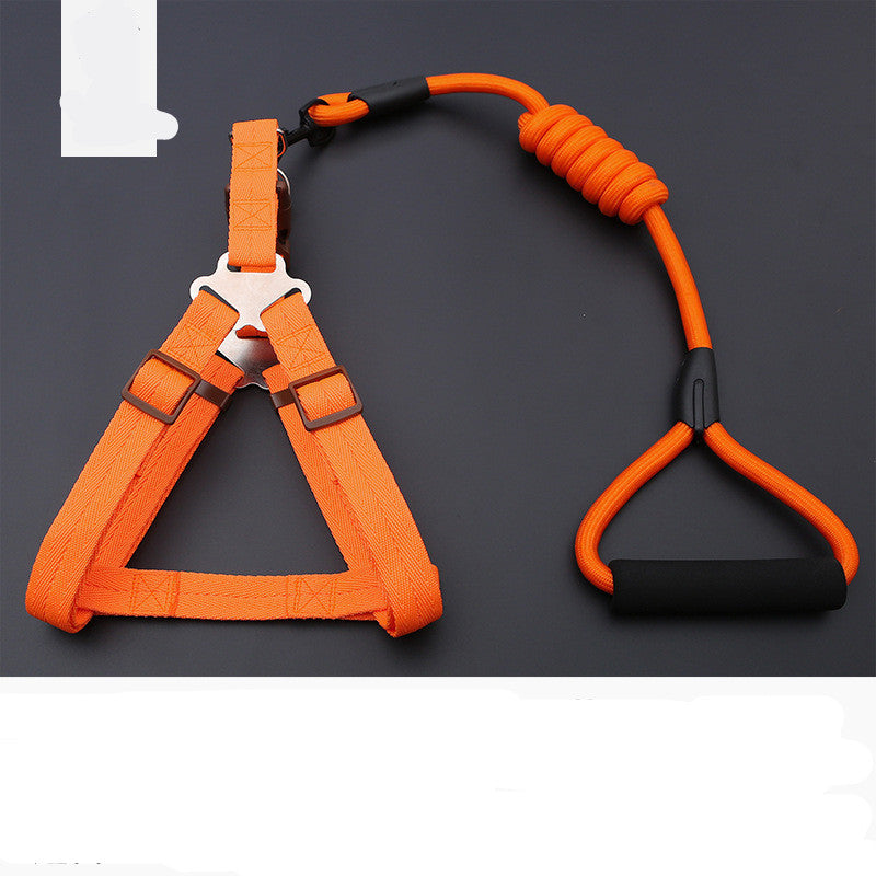 Dog Leash Golden Retriever Teddy Chest Strap Collar