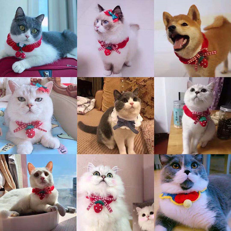 Elegant Wool Pet Collar – Princess Style for All Seasons