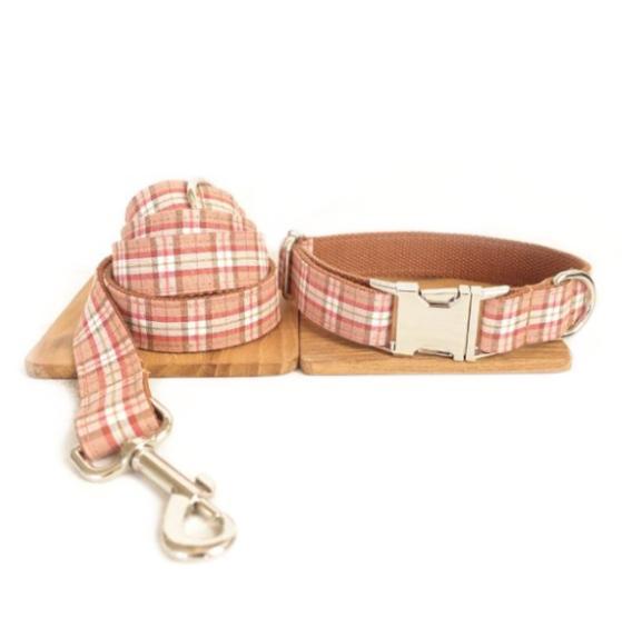 Creative design dog collar