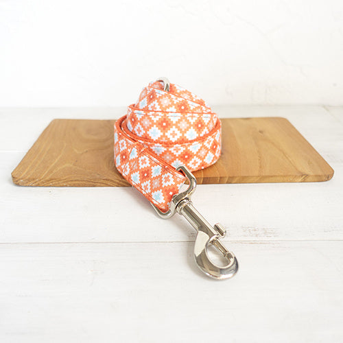 Orange Adventure Matching Collar And Leash Set