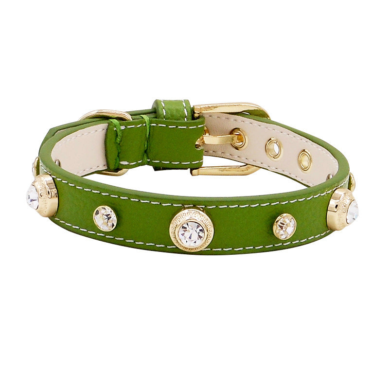 New Hot Sell Leather Pet Collar Multicolor