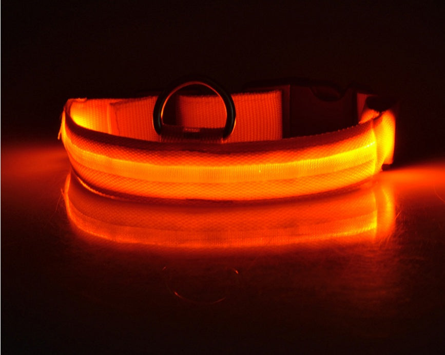Adjustable LED Dog Collar - Nylon, Glow-in-Dark, USB/Battery Options